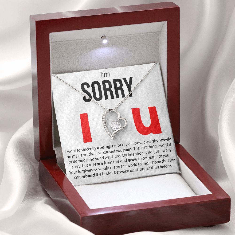 I'm Sorry, I Sincerely Apologize - Forever Love Necklace