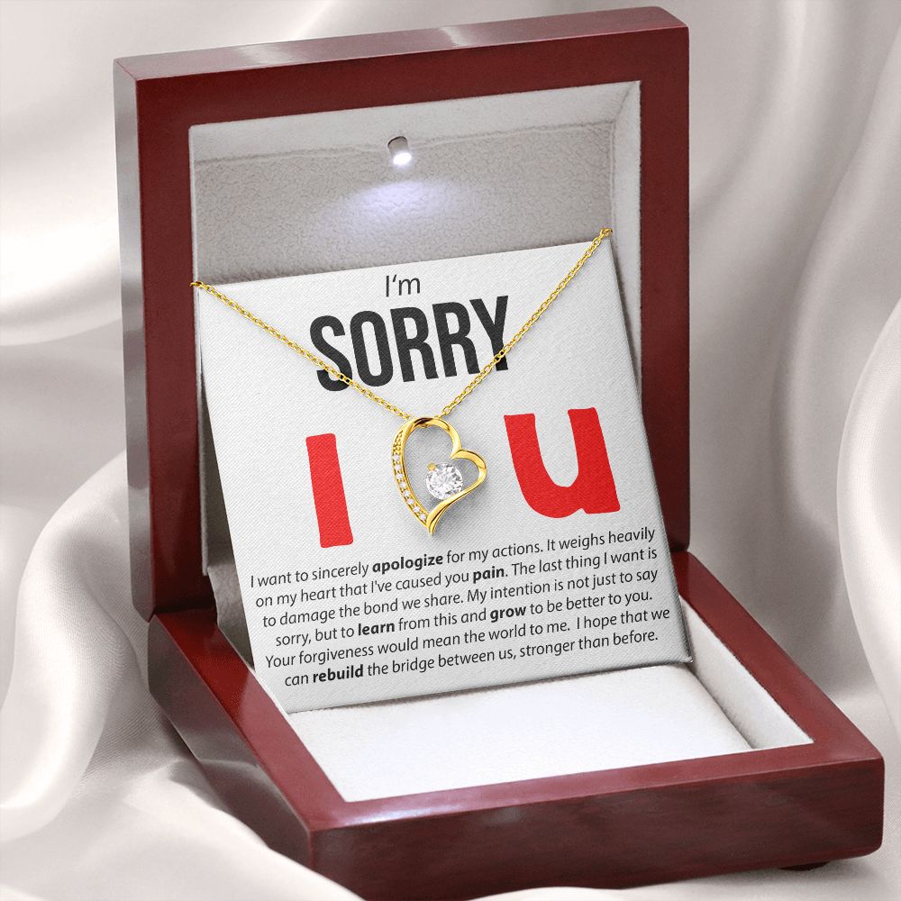 I'm Sorry, I Sincerely Apologize - Forever Love Necklace