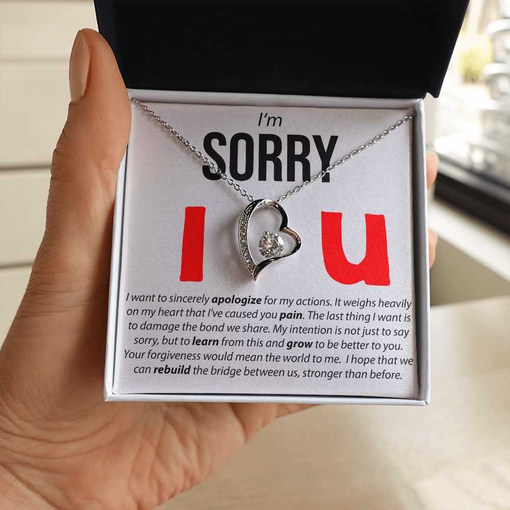 I'm Sorry, I Sincerely Apologize - Forever Love Necklace